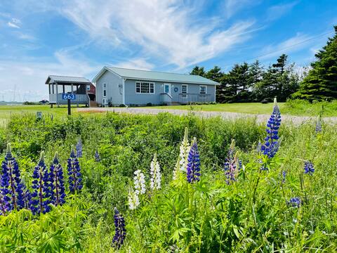 The Sea Drift by MemoryMakerCottages by the Beach!
