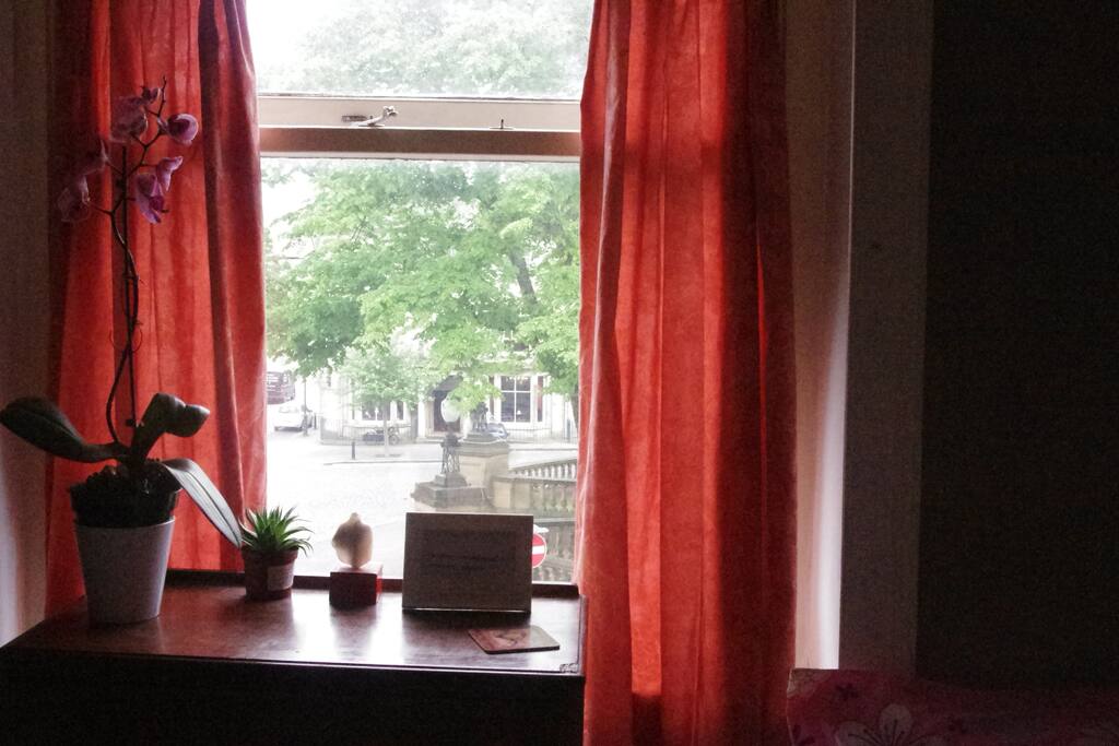 The Window