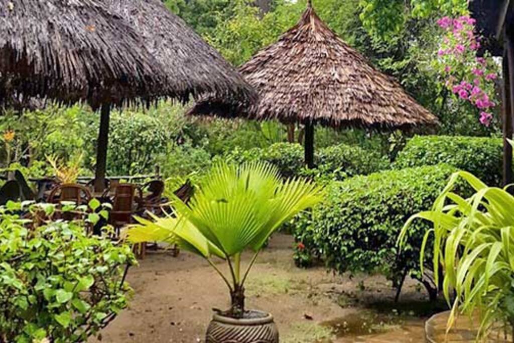 Hidden garden to relax in with a fully stocked bar and wood-fire pizzeria