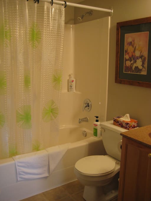 Clean bathroom