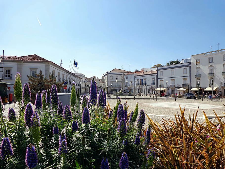 The Square