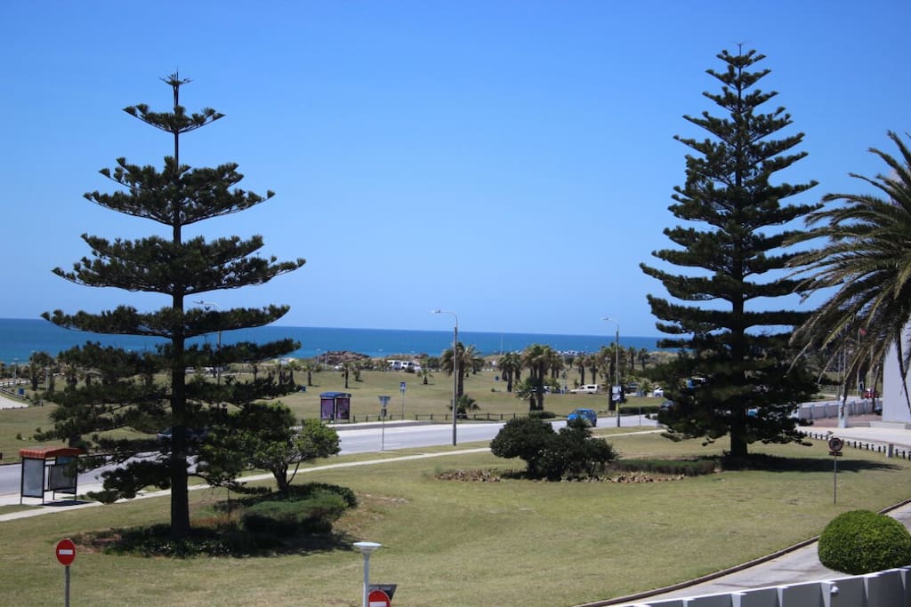 View