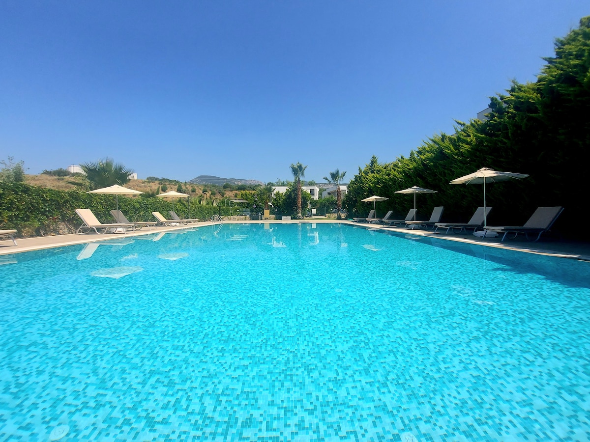 A large outdoor pool glistens under a clear blue sky, surrounded by lush greenery and several lounge chairs. Umbrellas provide shade nearby, enhancing the tranquil atmosphere of the space.