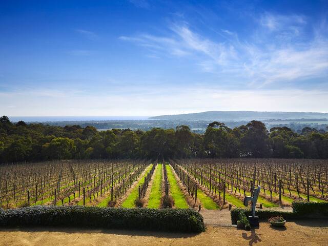 Harry’s Red Hill gallery image 3