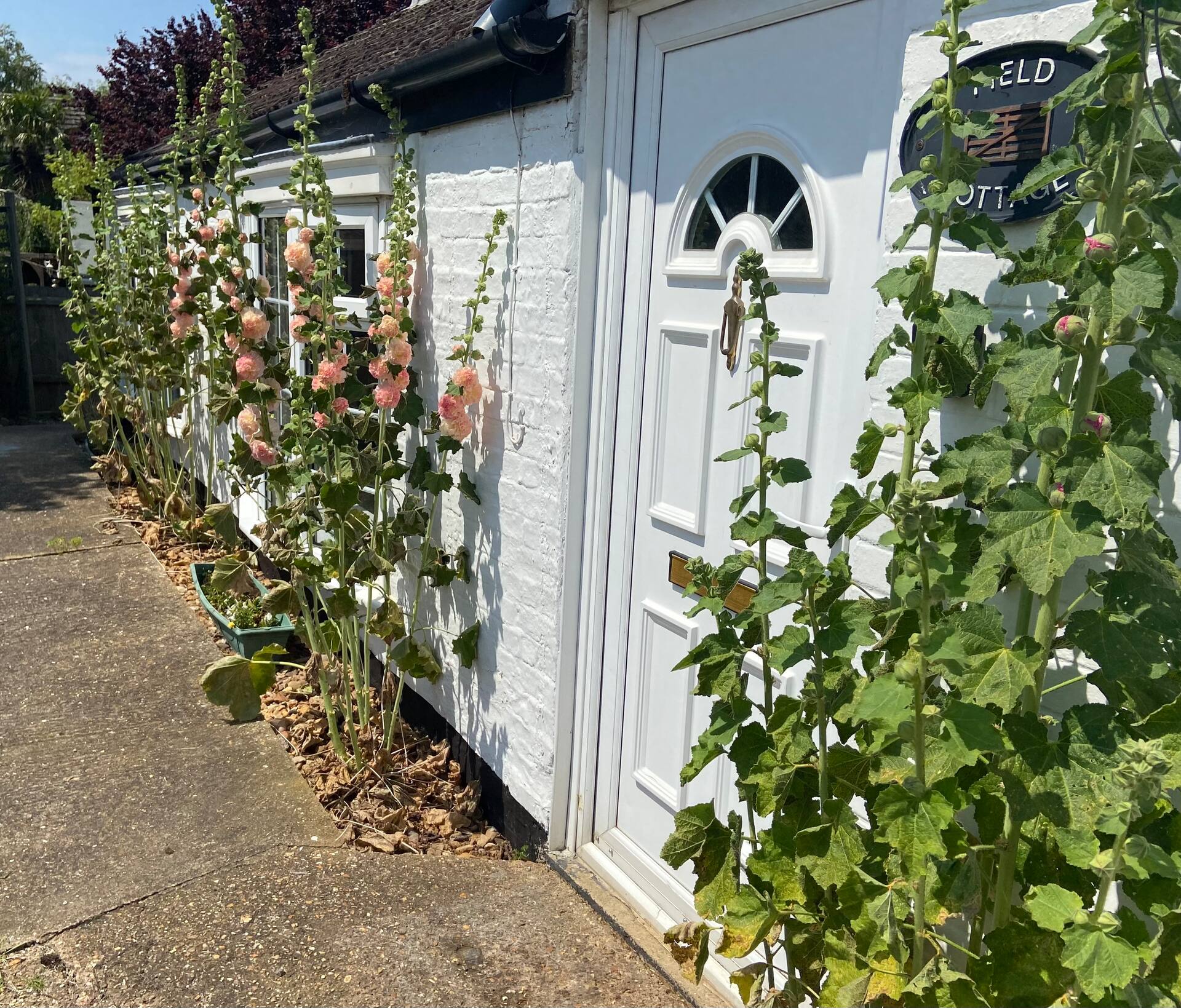 A unique hidden away Fen cottage in Whittlesey