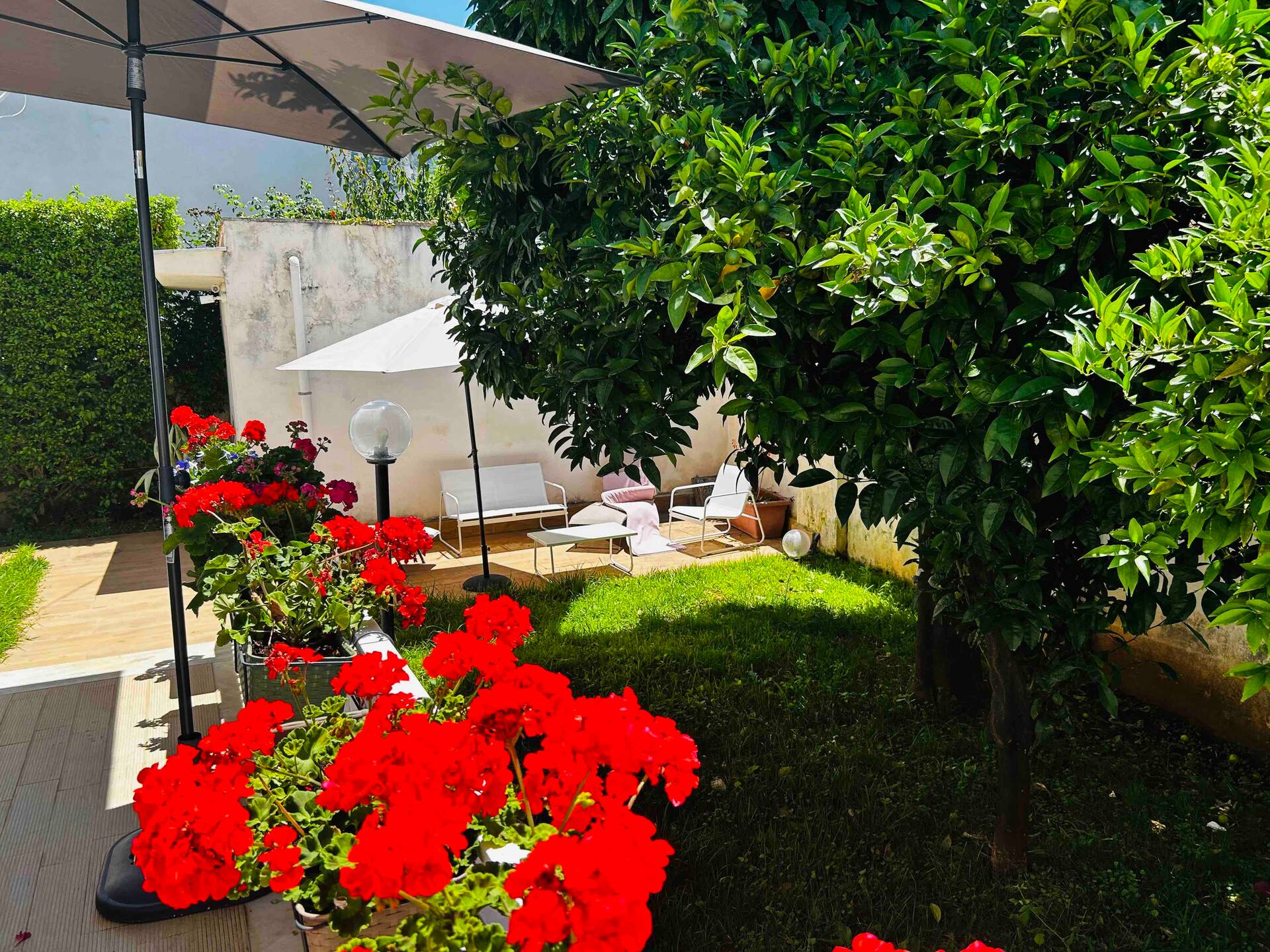 Mondello beach the house with green lawns — photo 1