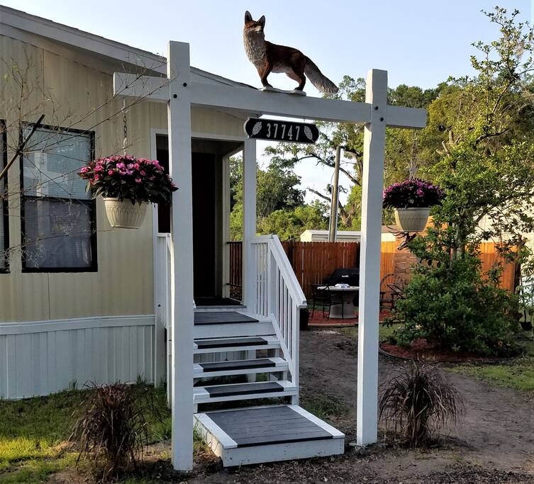 Unique entrance to our fox den