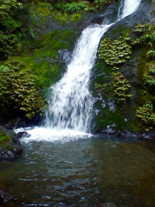 Waiteomarama Falls