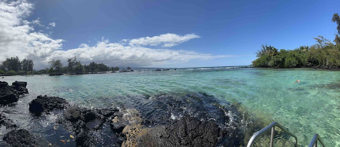 Eccentric Historic Mansion steps to beach with AC