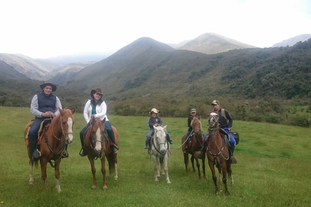 Paseos a Caballo