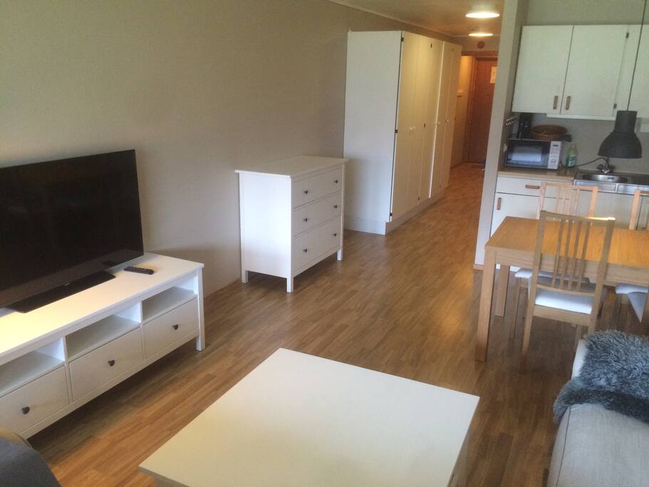 Livingroom and kitchen area.