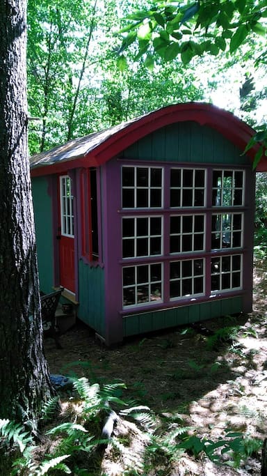 Windows that face the forest.