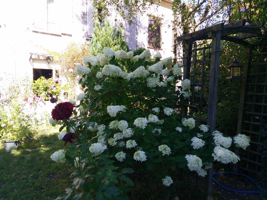 Jardin fin août