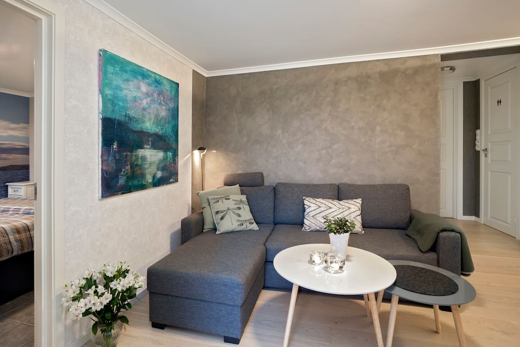Sofa/dobbel sovesofa.