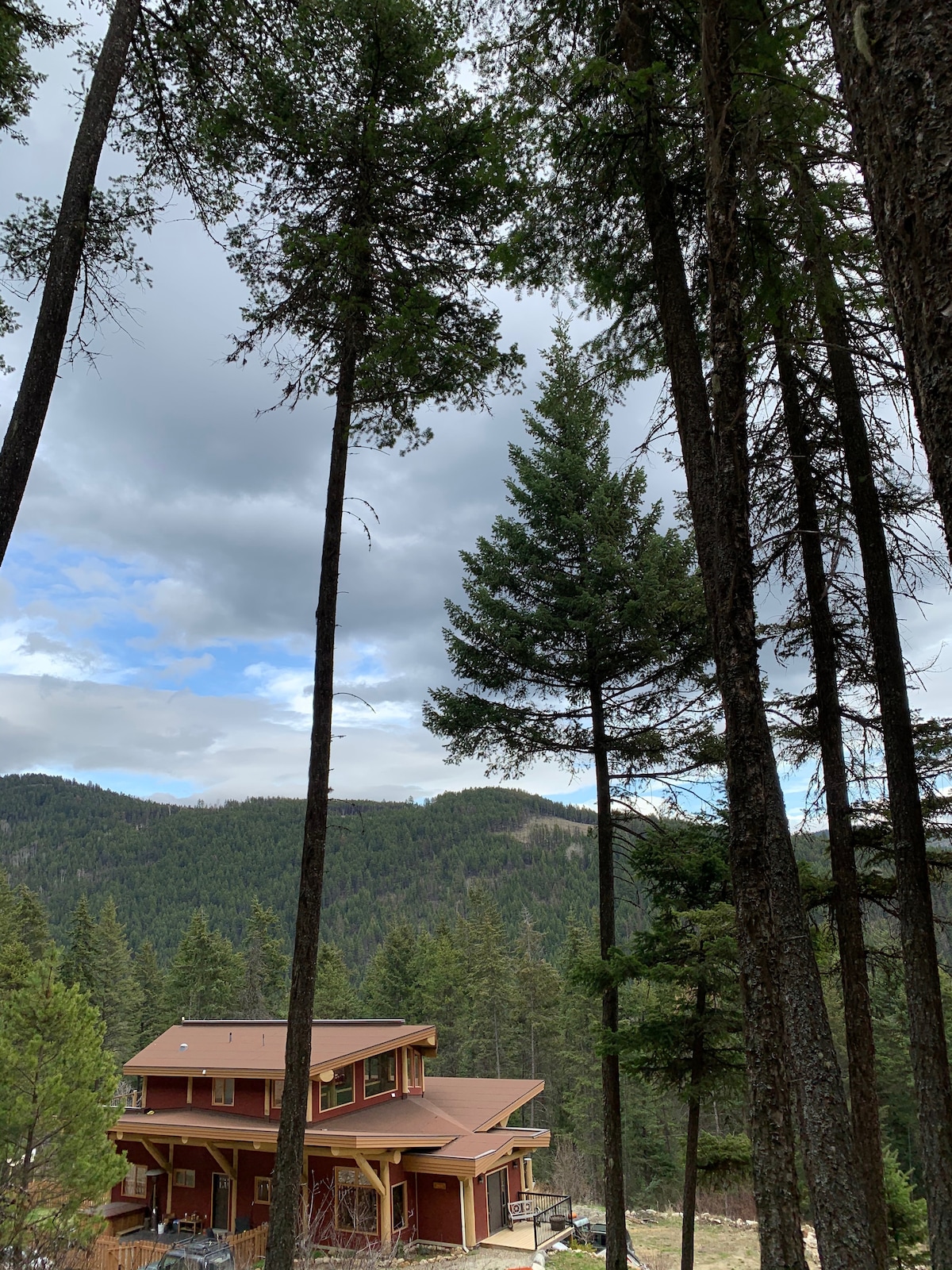 A log home is nestled among tall evergreens, with a backdrop of rolling green mountains under a partly cloudy sky. The natural surroundings create a serene atmosphere, inviting guests to explore the outdoor space.