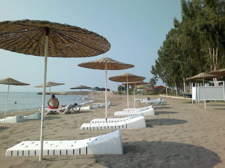 strand met ligbedden