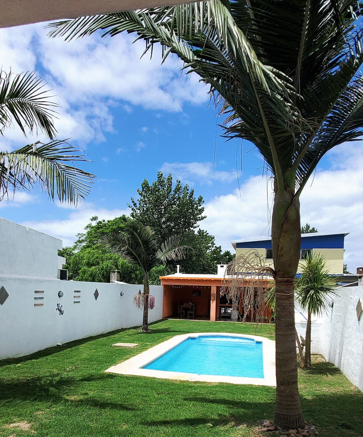 A private backyard is featured, showcasing a clear blue swimming pool surrounded by lush green grass. Tall palm trees stand on either side, providing a relaxed atmosphere. A small patio area with a covered seating space is visible in the background, inviting outdoor enjoyment.