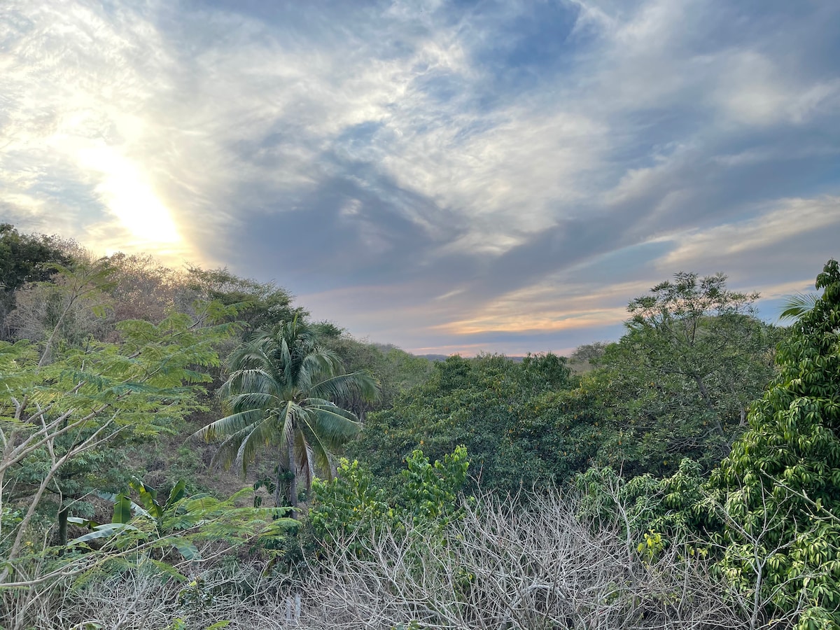 A serene landscape features a blend of tropical greenery under a softly illuminated sky. Tall palm trees and diverse foliage create a vibrant foreground, with the horizon showcasing gentle hues of light as the sun sets, signifying the tranquility of the surrounding environment.