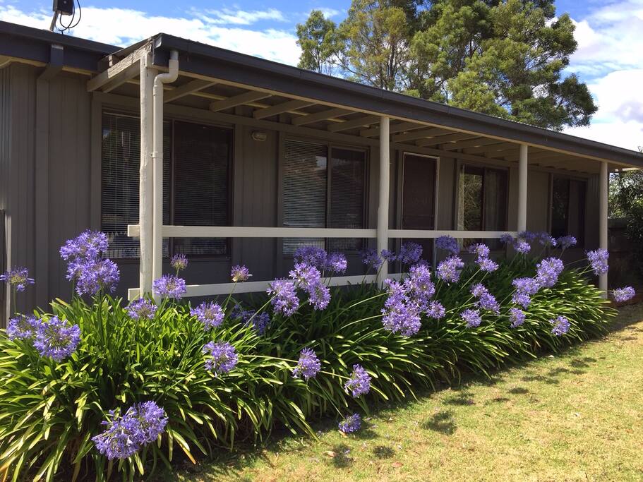 Beach cottage frontage