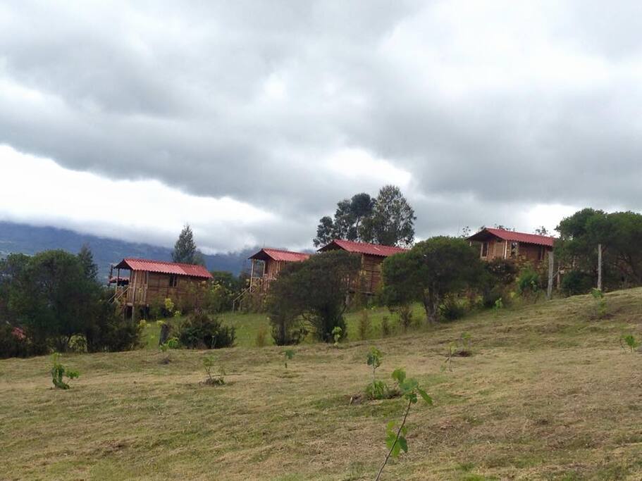 5 cabañas