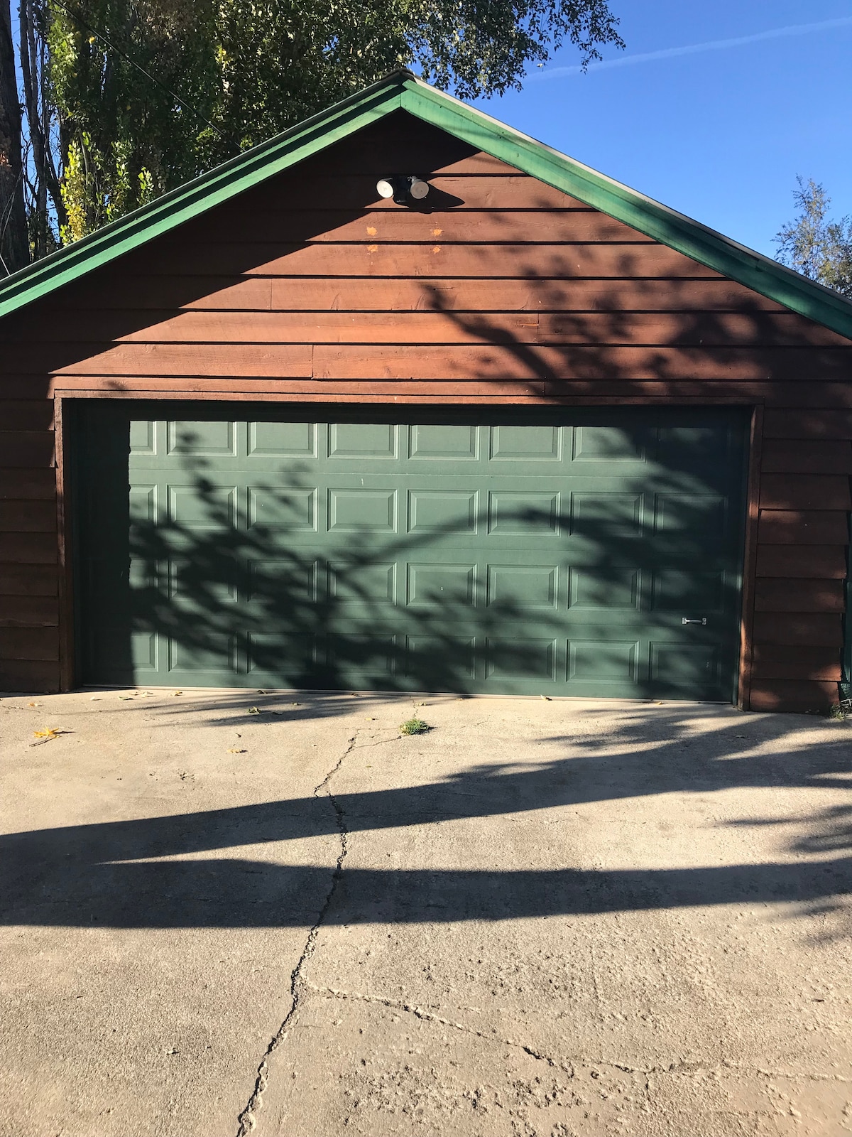 A rustic garage with a dark green door is situated against a backdrop of a brown wooden exterior. Natural shadows from surrounding trees play across the concrete driveway, which is clearly visible. A clear blue sky is seen above the structure.