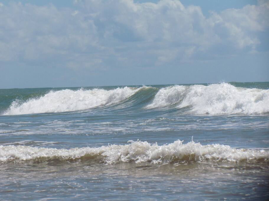 Muitas ondas para quem curte surfar