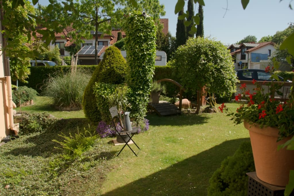 Blick in den Garten
