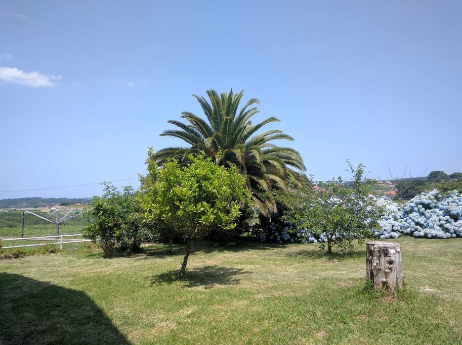 Jardin