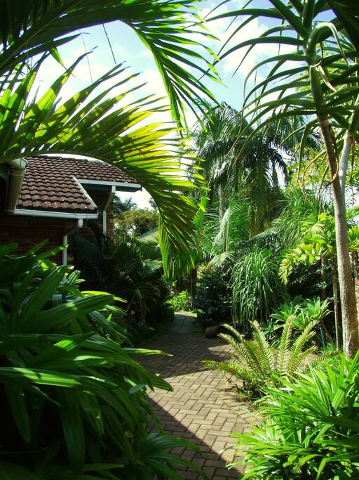 Tropical Garden