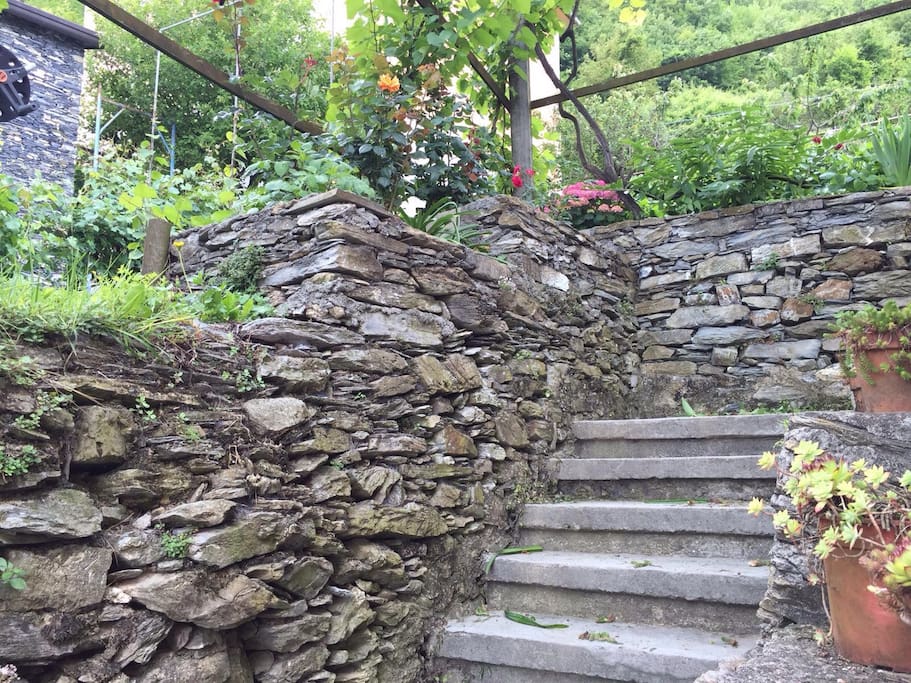 Typical ligurian scene ! Tradition, nature and peace