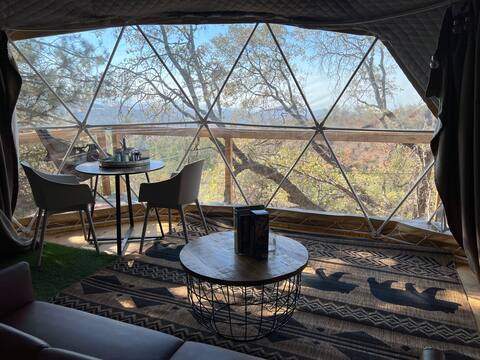 Dome 1 - Enjoy some nature