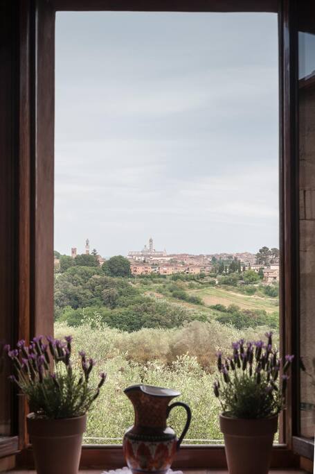 view of siena