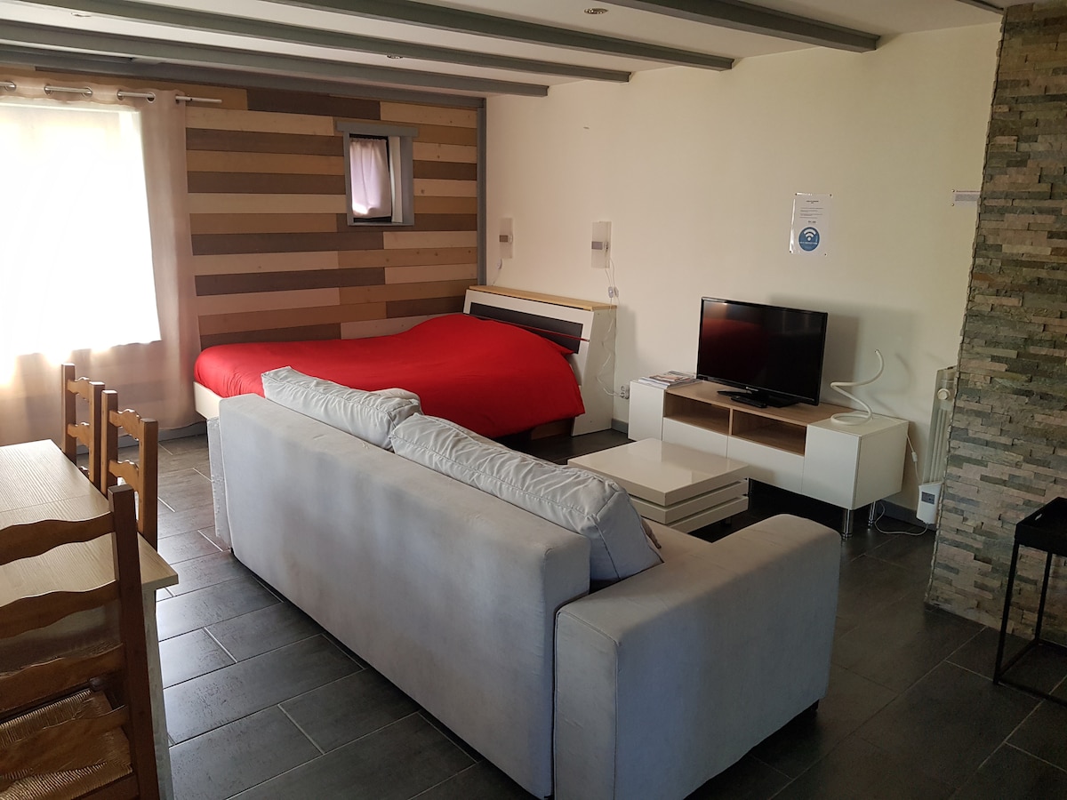 Proprietà Airbnb di successo: Nice little studio, Les Brimbelles. a Granges Aumontzey