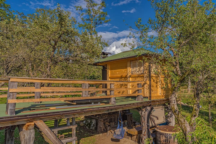 HIŠA NA DREVESU - pozimi je FINSKA SAVNA. POLETI je tudi aple friut sušilnik....