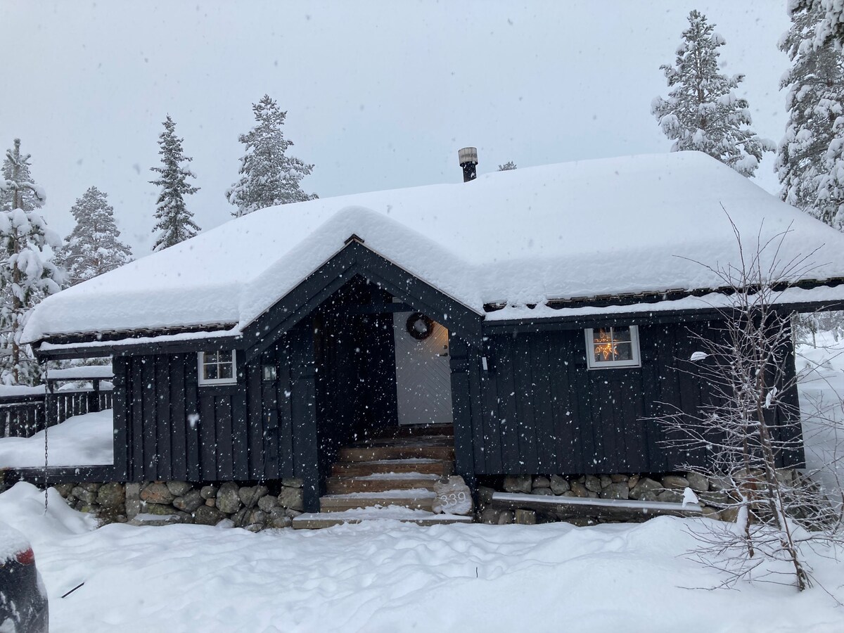 A modern cabin is presented under a blanket of fresh snow, featuring a sloped roof and wooden exterior. A welcoming entrance with steps leads into the home, while snow-covered trees stand nearby, contributing to the serene winter landscape.