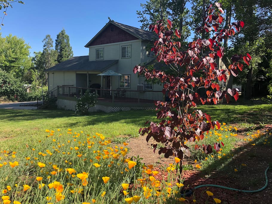 View of House from Garden