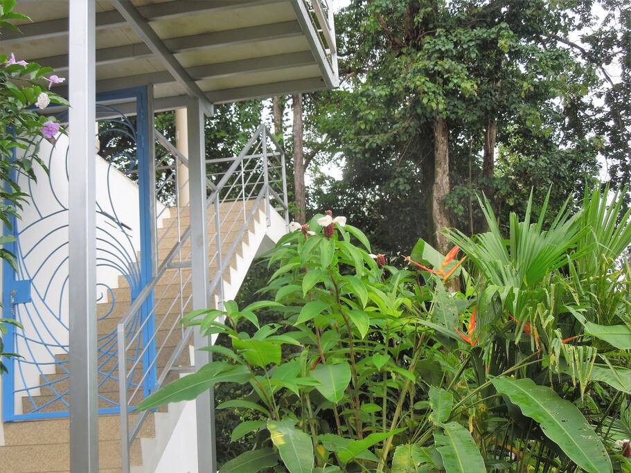 Entrance to the casita