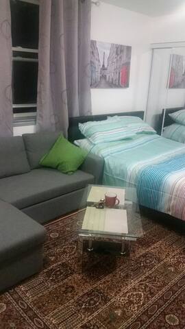 Bachelor apart in heart of Downtown Ottawa (S-08)