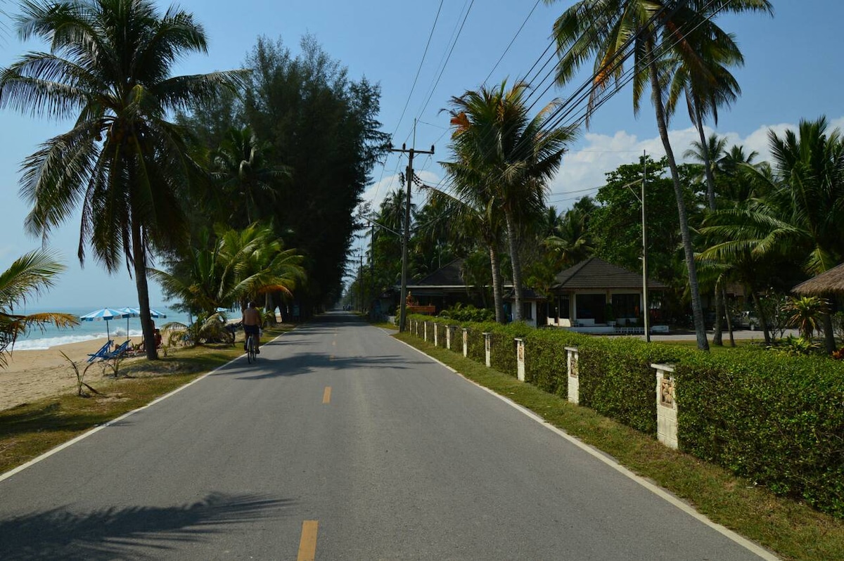 A tranquil road runs parallel to a serene beach, flanked by lush palm trees and vibrant greenery. Beach umbrellas and lounge chairs are visible in the distance, inviting relaxation. A residential area is seen on one side, maintaining a peaceful atmosphere along the shoreline.