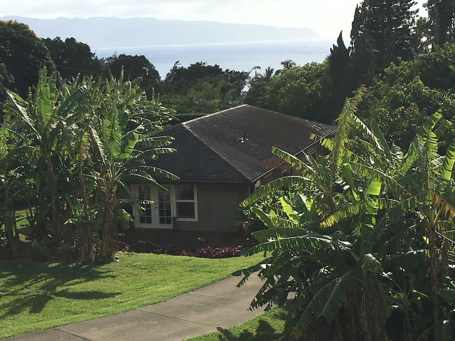 Hale Pupukea Country Cottage