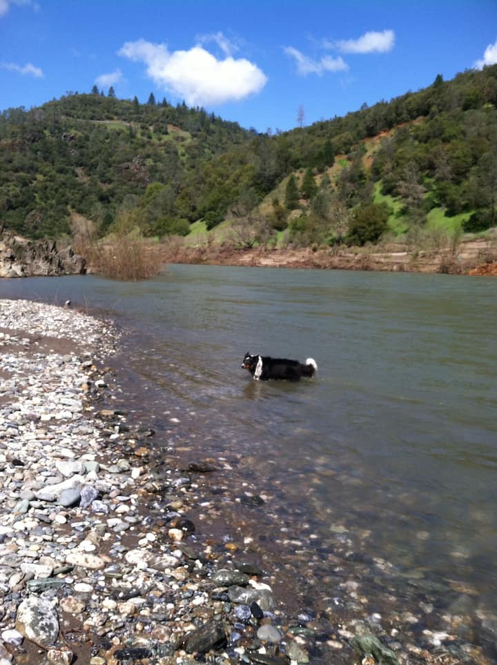 Top 10 Airbnb Vacation Rentals In Auburn, California Updated 2024