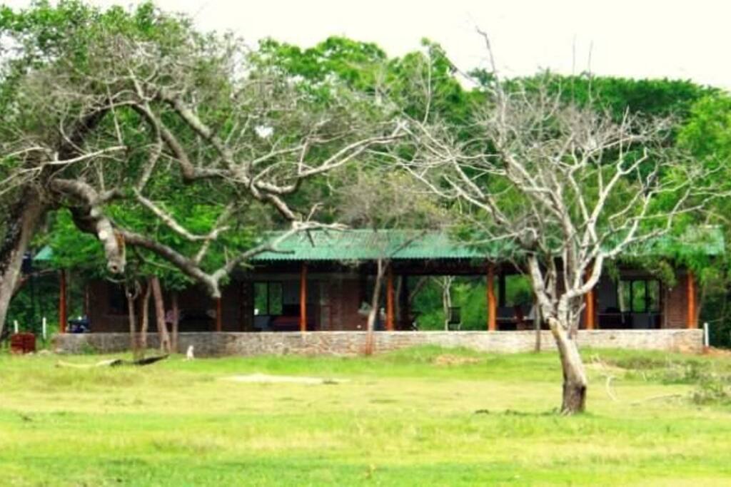 Nestled among trees.