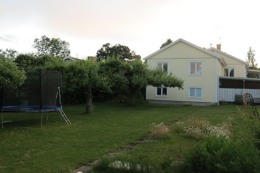 The house from the garden.