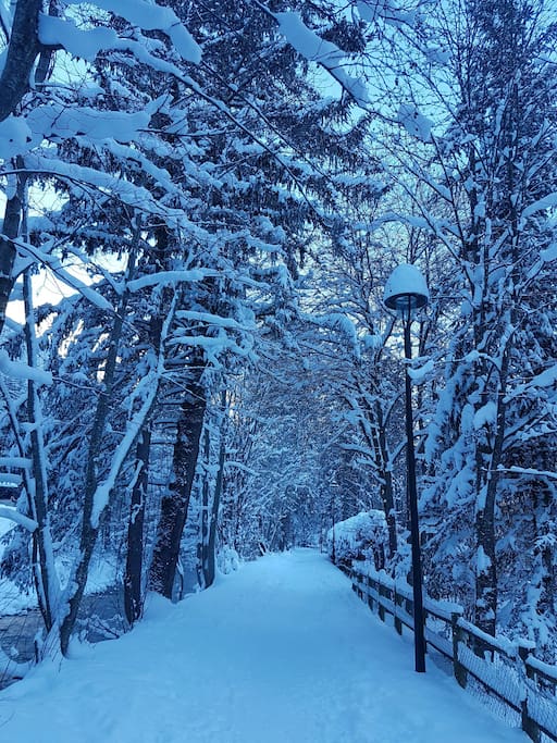 The beautiful snowy riverside path that takes you in to Chamonix.