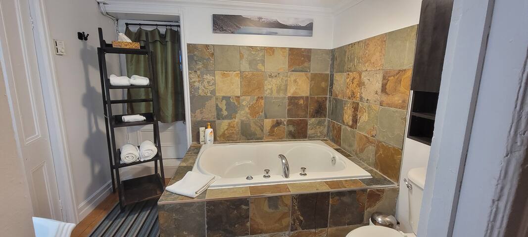 1870 Historic Victorian Row House Montreal gallery image 4