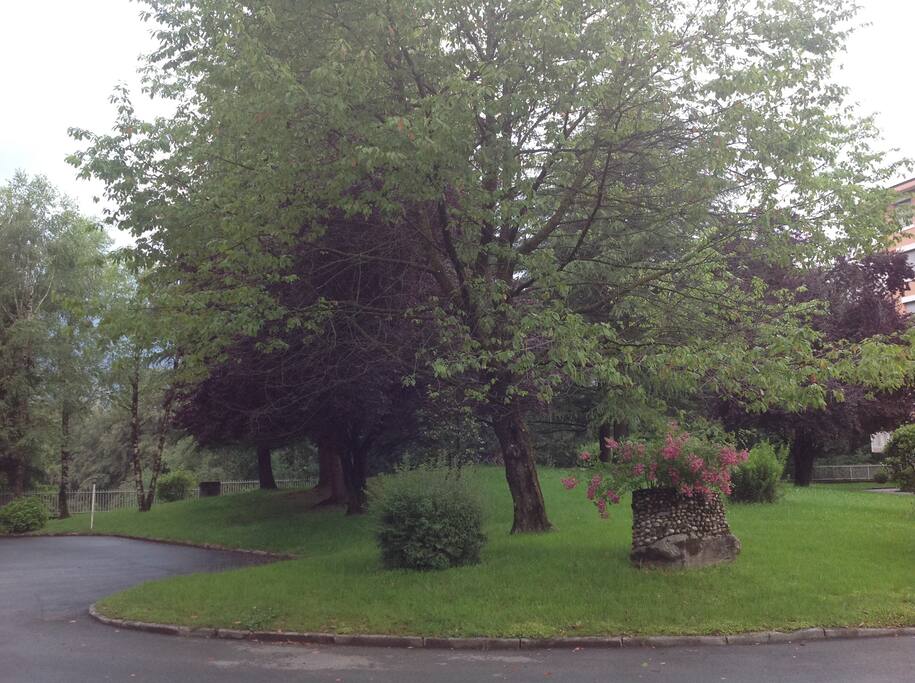 COMMON PARK
