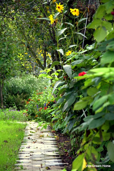 Garden path - autumn