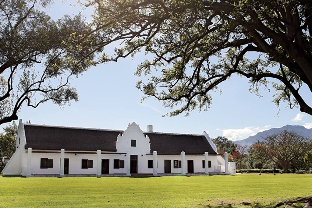 Spier wine tasting (30mins drive)