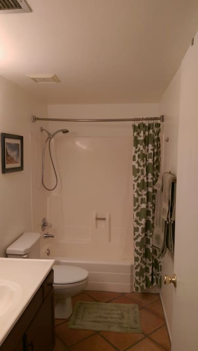Hall bathroom with adjustable shower head wand.
