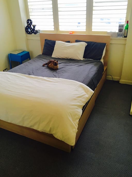 Your sunny master bedroom with super-comfortable queen mattress, timber bed, plush duvets and pillows, huge windows. Now with bonus cat